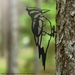 Woodpecker Tree Stake - WDPKR-TREE