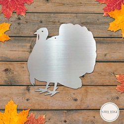 Turkey turkey, bird, thanksgiving, autumn, fall